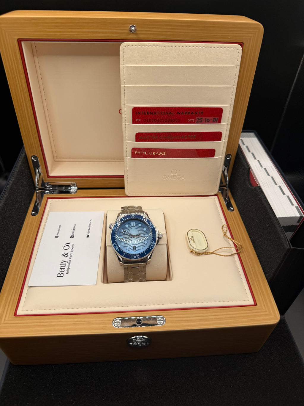 Omega Seamaster Professional - Summer Blue 2025