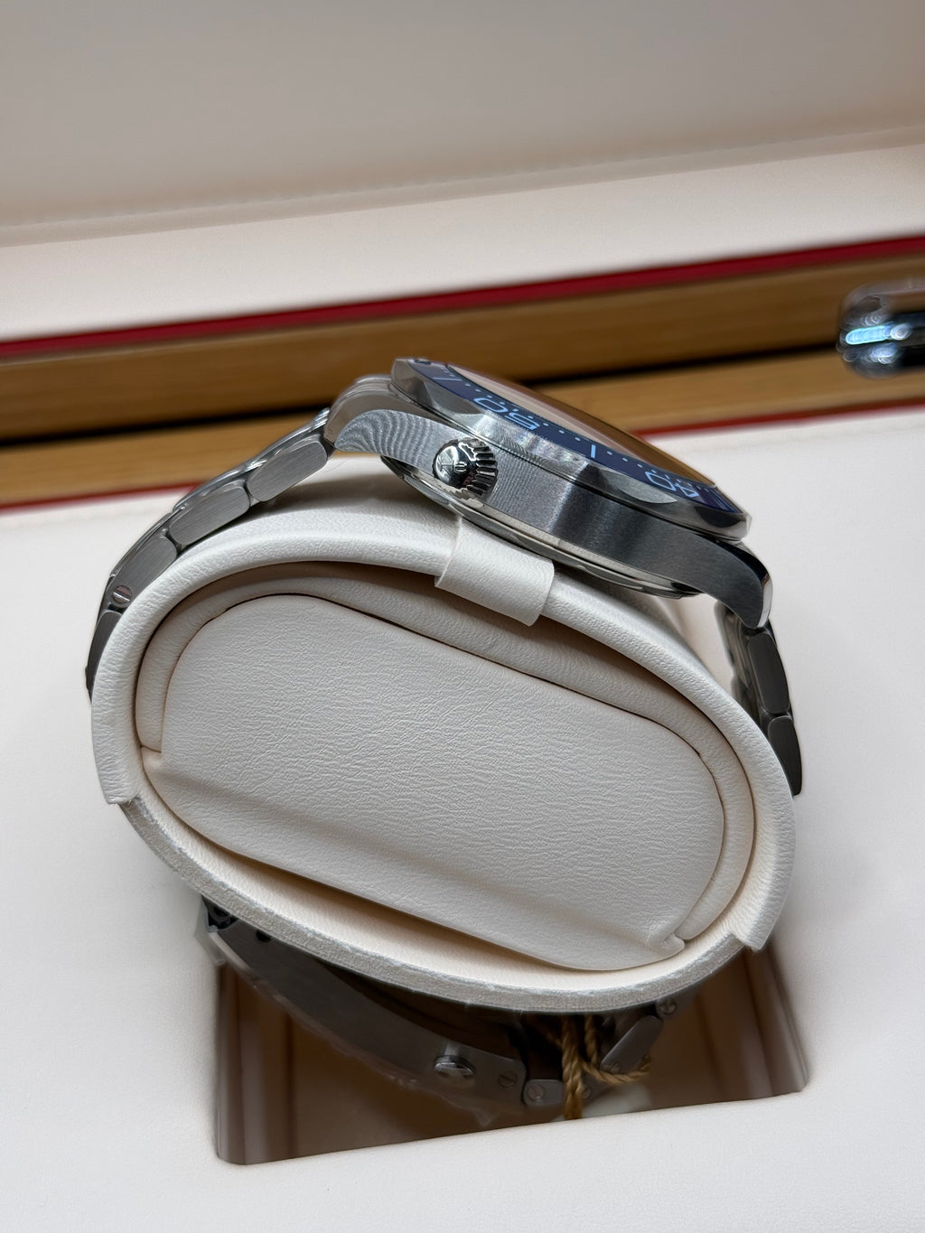 Omega Seamaster Professional - Summer Blue 2025
