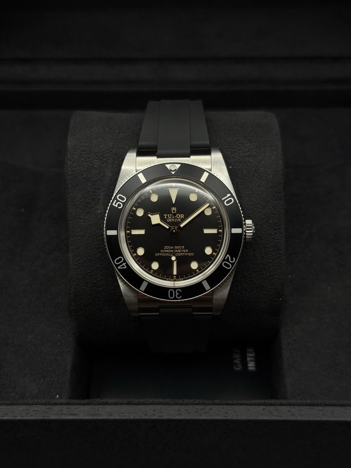 A Tudor Black Bay 54, shown as a similar example