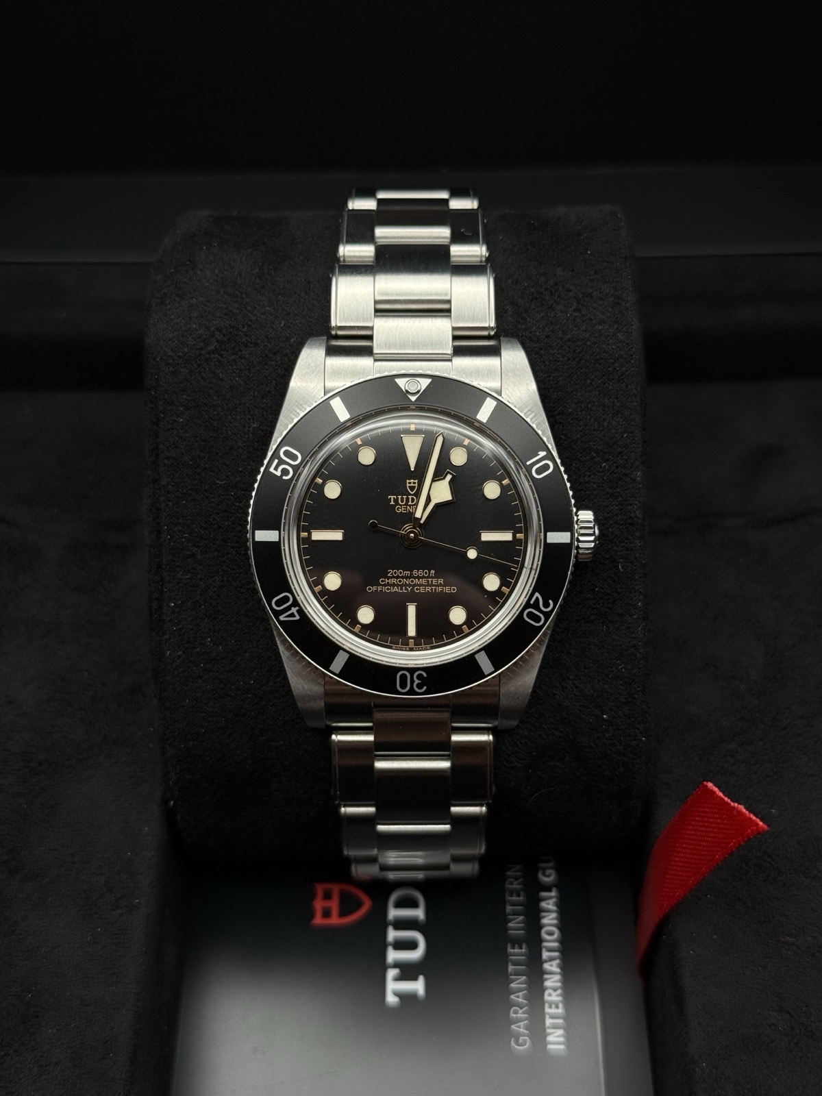 A Tudor Black Bay 54, shown as a similar example